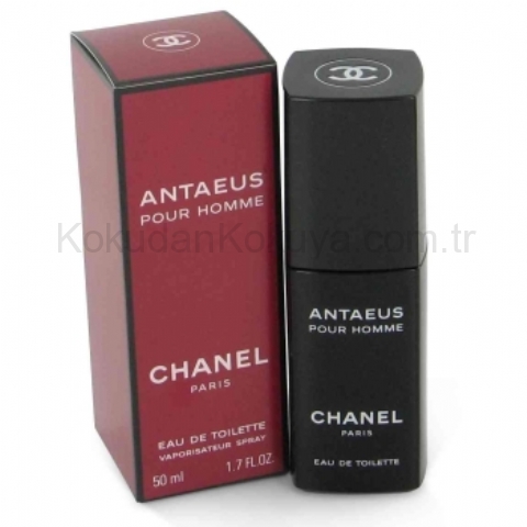 CHANEL Antaeus pour Homme (Vintage) Parfüm Erkek 50ml Eau De Toilette (EDT) Sprey
