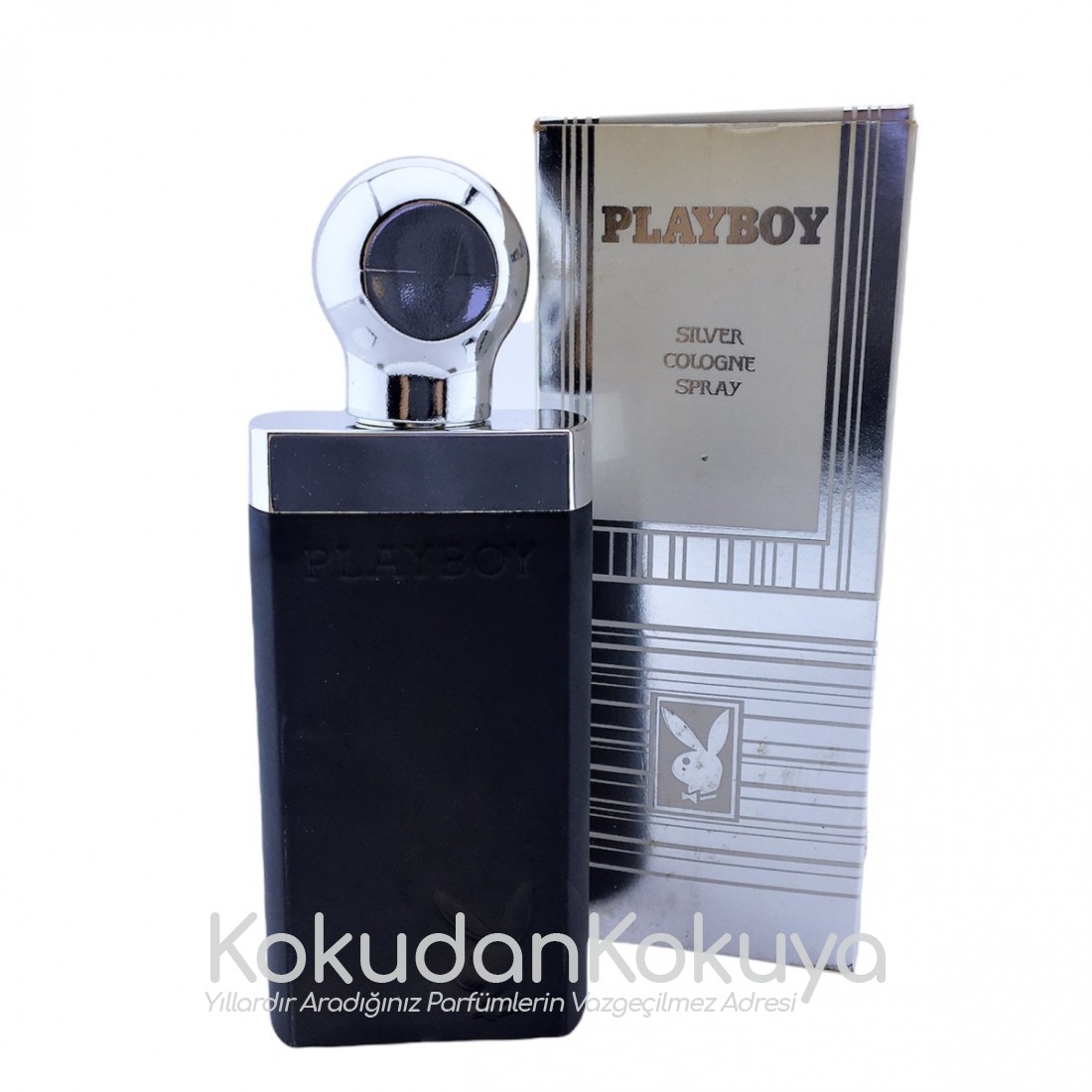 PLAYBOY Playboy Silver Cologne (Vintage) Parfüm Erkek 100ml Eau De Cologne (EDC) Sprey 