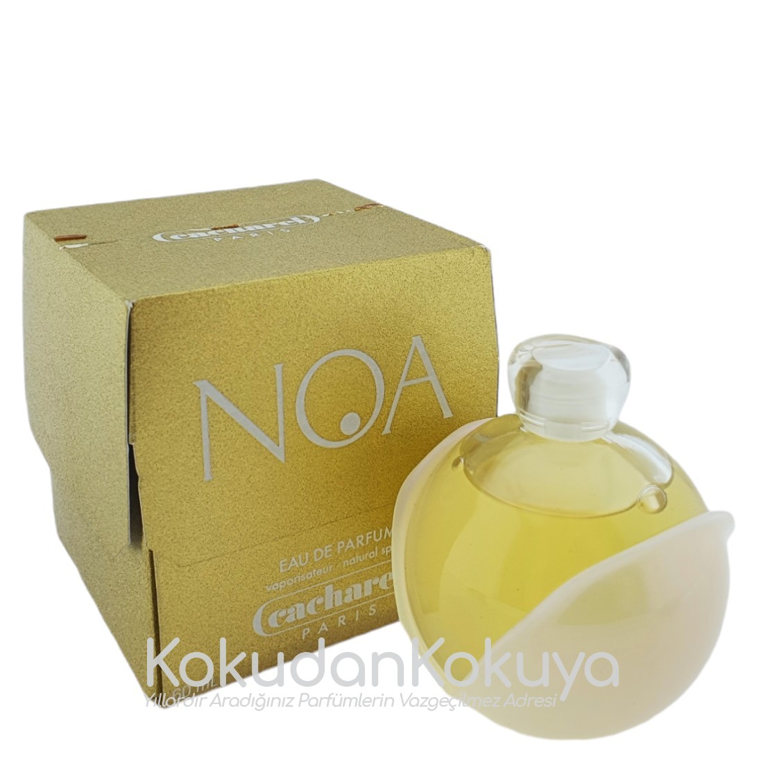 CACHAREL Noa (Vintage) Parfüm Kadın 60ml Eau De Parfum (EDP) Sprey 