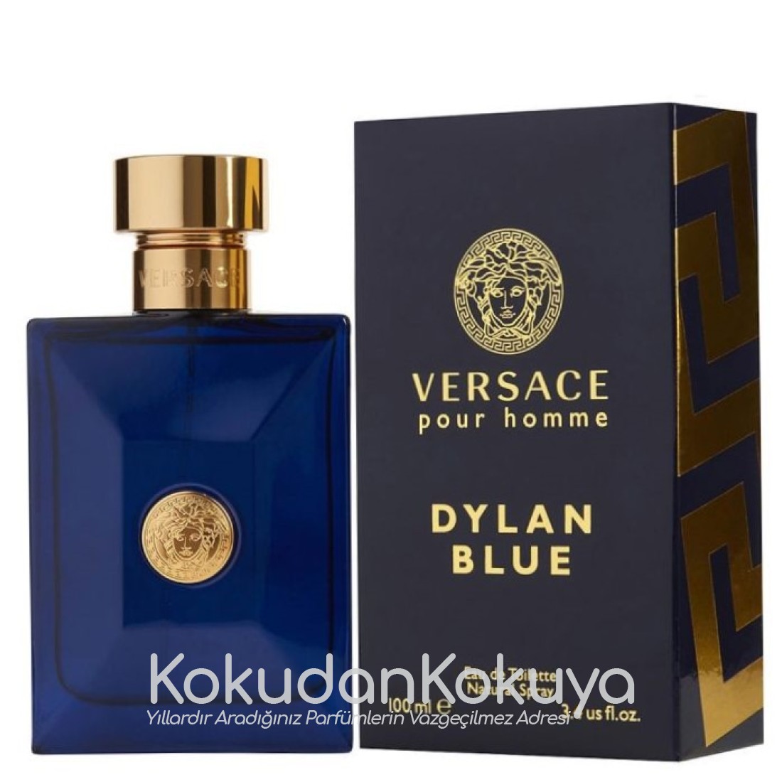 VERSACE (2022) Versace Pour Homme Dylan Blue Parfüm Erkek 100ml Eau De Toilette (EDT) Sprey 