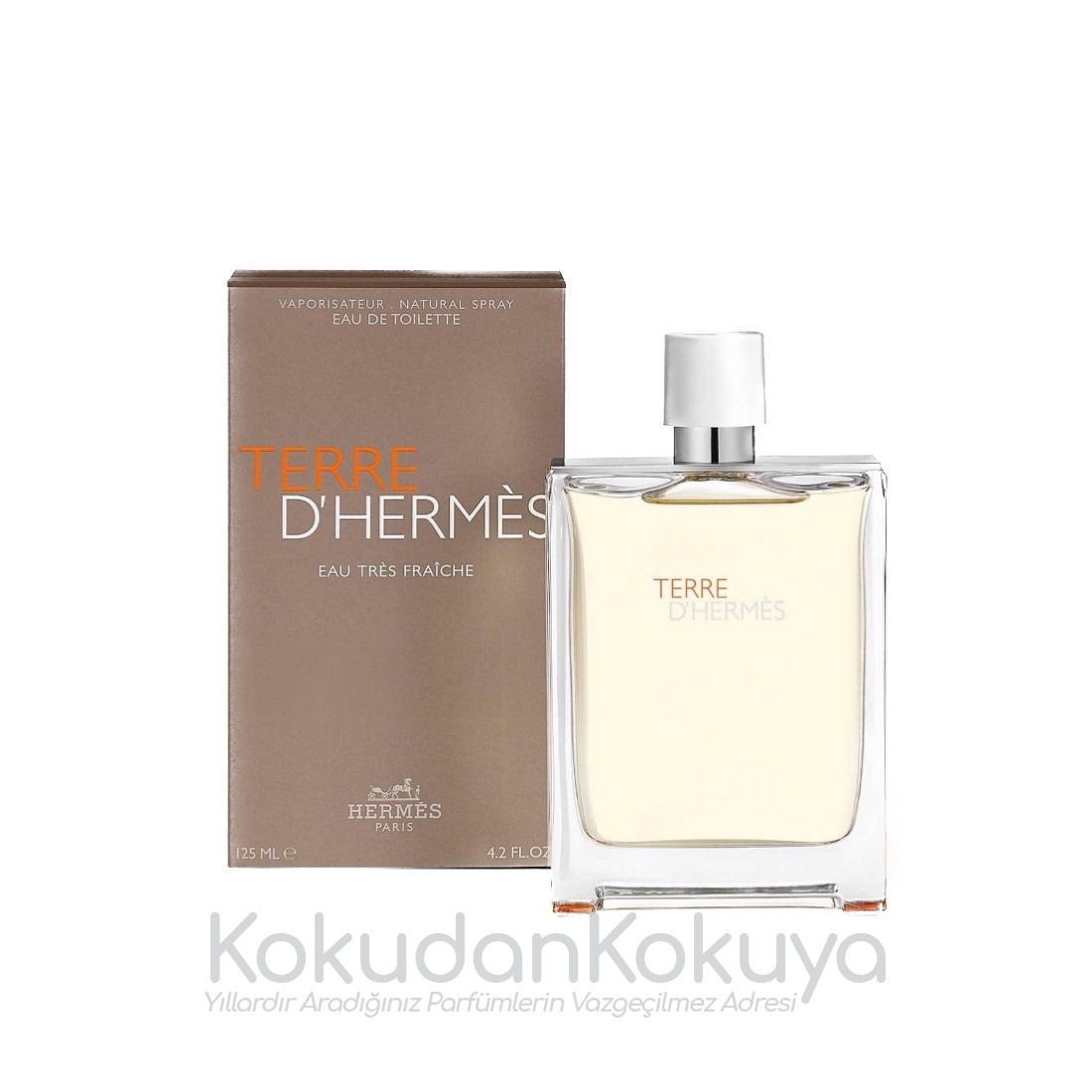 HERMES (2022) Terre d'Hermes Eau Tres Fraiche Parfüm Erkek 125ml Eau De Toilette (EDT) Sprey 