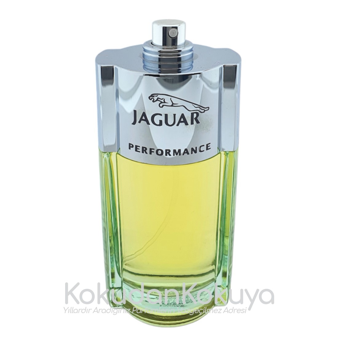 JAGUAR Performance (Vintage) Parfüm Erkek 100ml Eau De Toilette (EDT) Sprey 
